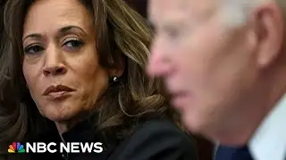 Harris calls Biden's decision to run for re-election 'recklessness' in memoir