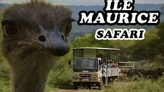 Ile Maurice : Parc animalier de Casela