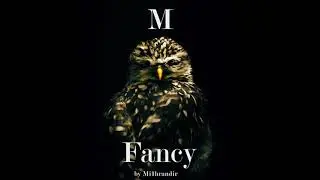 Mi1hrandir-Fancy Music 2022