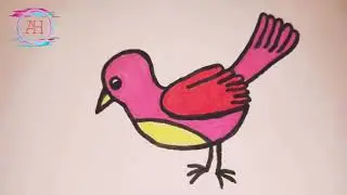 Drawing cartoon bird