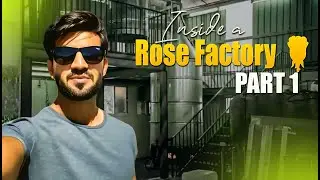 Inside a Rose Factory 🌹 | Part 1