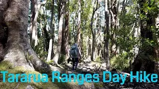 Massive New Zealand Day Hike | Classic Tararua Ranges Tramping