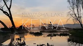 Sleeping Music, Relaxing Music, Stress Relief, Meditation Music - sunrise at naivasha lake in kenya