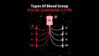 Types of blood #education #facts #trending #shorts #blood