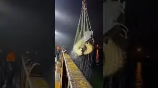 Giant Catfish BREAKS the Net Under a Crane at Night 😱