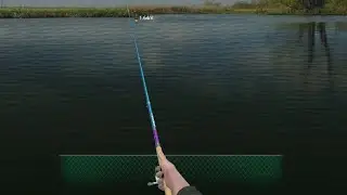 World of Fishers Gameplay