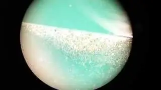 micron floating gold