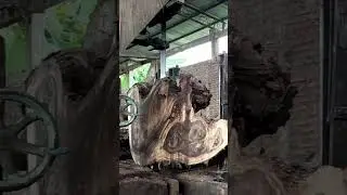 Sawmill Magic: Ordinary Branch, Extraordinary Wood
