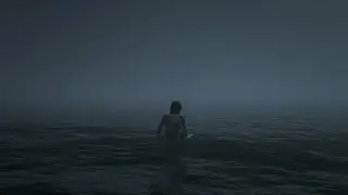 The Last of Us Part II - Post World Ambient Feels with Eliie