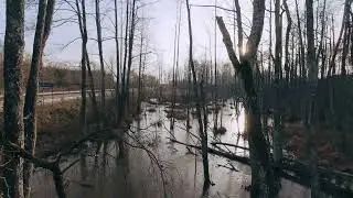 Pelkynas &scaron;alia kelio | Lietuva