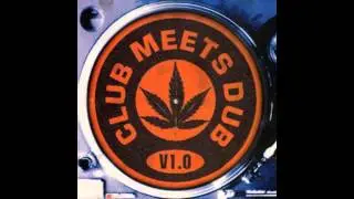 The Woodshed - Dubnut (Rootsman Mix) (1995)
