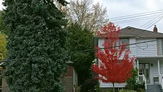 Now so cold in Canada