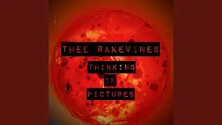 Thinking in Pictures