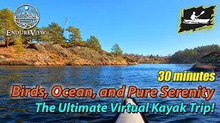 Birds, Ocean, and Pure Serenity &ndash; The Ultimate Virtual Kayak Trip!
