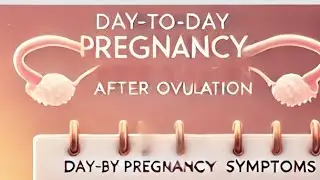 day by day pregnancy symptoms after ovulation day 0-day14