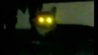 Evil Cat Morrison