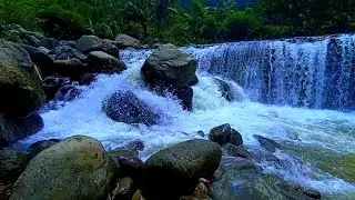 Waterfall Therapy &ndash; River Sounds for Sleeping, Relaxing, and Peaceful Mind