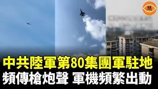 政治滅門前奏？爆張又俠直系、旁系親屬全部遭「軟流放」，慘烈程度超出想像……
