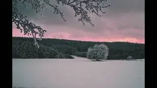 WINTER - [PEASOF LIFE] ❄️ 4K  2 Hours of Original Ambient Music for Sleep & Focus (오리지널 겨울 공부&middot;수면용)