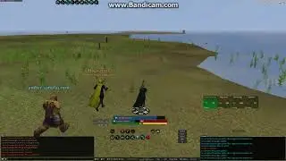 Daoc Phoenix Alb gobo pull