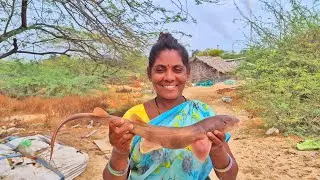 குரங்கு சுறா மீன் குழம்பு நண்டு வறுவல் அருமையான சாப்பாடு