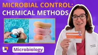 Microbial Growth Control: Chemical Methods: Microbiology Pre-Nursing /  Med Students | @LevelUpRN