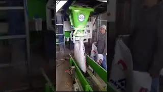 Arpa Ezme Paketleme Makinası | KOBASTAR TIR KANTARLARI | makinecim.com