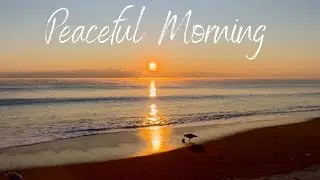 Sunrise with Sea Smoke, Seagulls and Sea Waves - Perfect for Relaxation, Meditation and Sleep