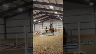 Equitation??🤩 // -J #horse #fyp #viral #equestrian #contentcreator