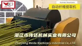 Client uses the automatic decorticator on site ZGM-4401 for industrial hemp