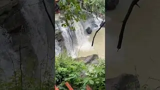 Best waterfall in Chhattisgarh #shortfeed #ramvlogr #youtubeshorts