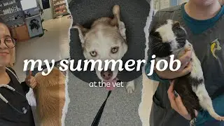 my pre-vet student life | summer 2024 ☀️