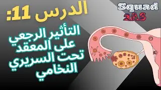 🔄🧠 التأثير الرجعي على المعقد تحت السرير النخامي | 2AS