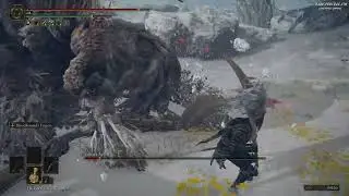 Erdtree Avatar Boss Fight｜Elden Ring｜4K