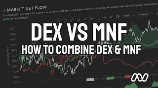 Tradytics MNF vs DEX - Differences, Pros, and Cons