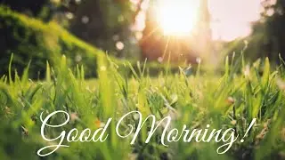 Good Morning Wishes to you!!✨🌻 | Have a Nice Day Today!! Video Greeting ✨🌺