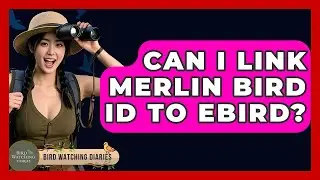 Can I Link Merlin Bird ID To EBird? - Bird Watching Diaries