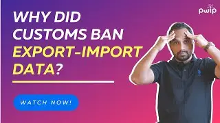 Exim Data: Why It's Important |  PWIP