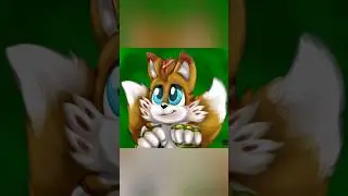 Tails, Nine, Mangey, And Sails Pictures! #shorts #sonic #tails #nine #mangey #sails #sonicthepolyhog