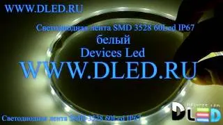 Влагозащищенная светодиодная лента в трубке SMD 3528 (60 LED) IP67 Белый