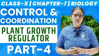Control & Coordination | Chapter 7 Class X Biology | Plant Growth Regulator Part-4