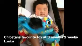 3 Month Baby - Favourite Toy