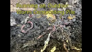 VermiBag  Ep 217    Running an Outdoor Worm Composting Pile
