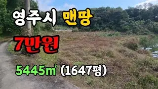 [매물번호 365번] 영주시 봉현면 맨밭 지목은 과수원 가격조정가능 | 영주옥토부동산 054.631.6100 