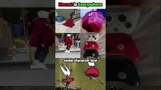 Hornet is Everywhere😭🙏