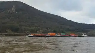 Live ⚓ bei Burg Sooneck / Rhein 🕑🚤⚓ 11.1.2025