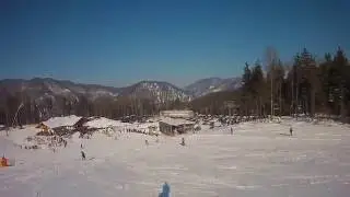 forsteralm carving