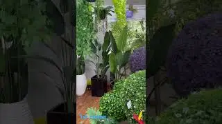Artificial Plant supplier #gardendesign #flower #homeplants #artificialplants #garden #plant
