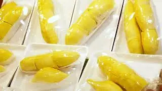A Comprehensive Guide on Export Packaging