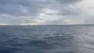 8-Minute Ferry Ride | Liminal Morning Commute Sounds (No Talking)